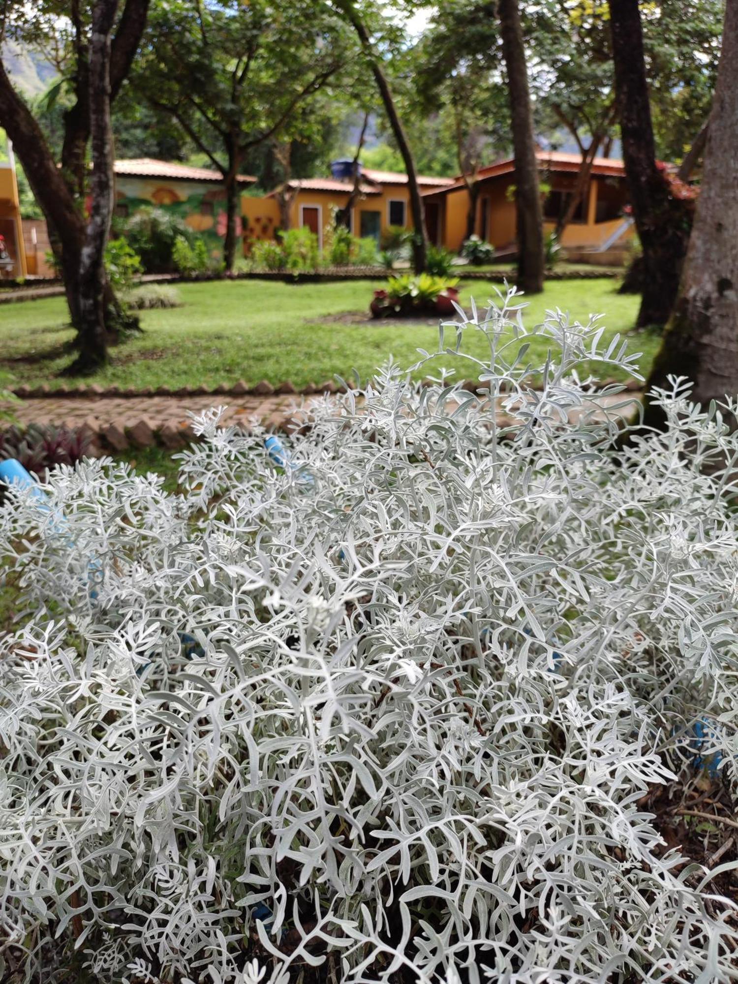 Villaflor Pousada Vale do Capao Ngoại thất bức ảnh